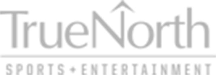 tnse_logo-grey